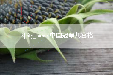 东明中国冠军九宫格