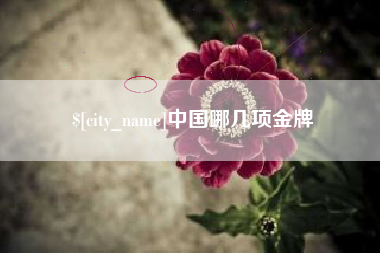 东明中国哪几项金牌