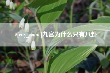 东明九宫为什么只有八卦
