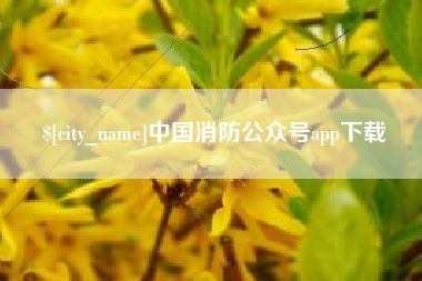 东明中国消防公众号app下载