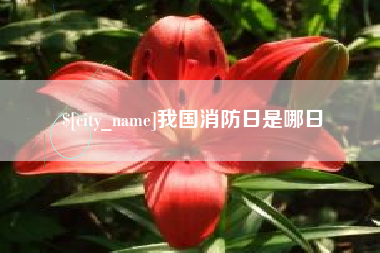 东明我国消防日是哪日