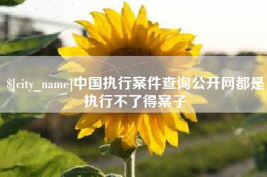 东明中国执行案件查询公开网都是执行不了得案子