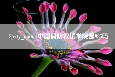 东明中国消防救援学院是985吗