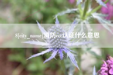 东明消防ccc认证什么意思