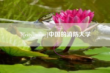 东明中国的消防大学