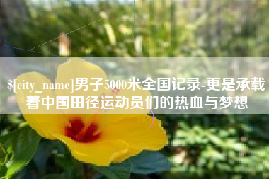 东明男子5000米全国记录-更是承载着中国田径运动员们的热血与梦想