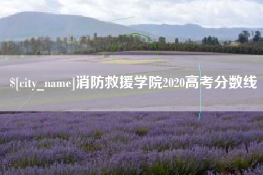 东明消防救援学院2020高考分数线