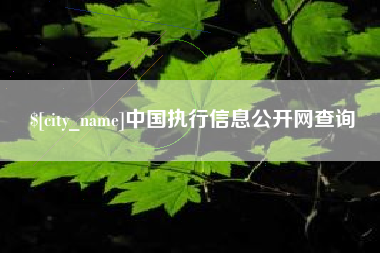 东明中国执行信息公开网查询