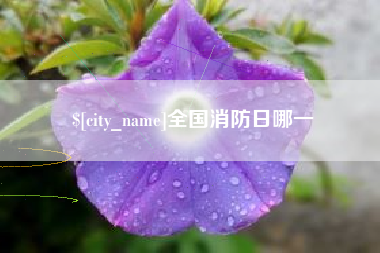 东明全国消防日哪一