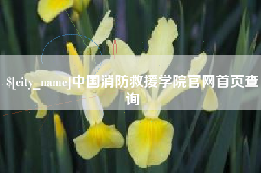 东明中国消防救援学院官网首页查询