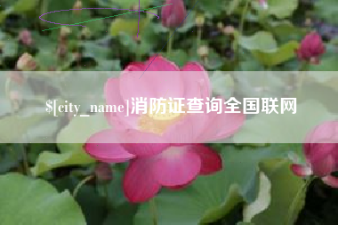 东明消防证查询全国联网