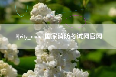 东明国家消防考试网官网