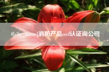 东明消防产品cccf认证询公司