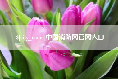 东明中国消防网官网入口