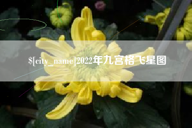 东明2022年九宫格飞星图