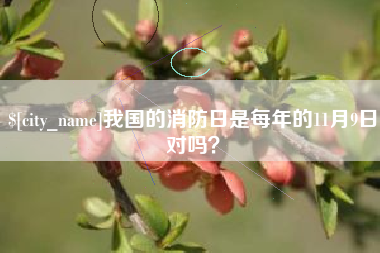 东明我国的消防日是每年的11月9日对吗？