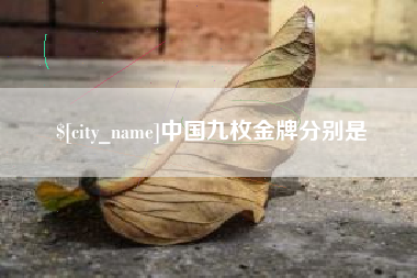 东明中国九枚金牌分别是