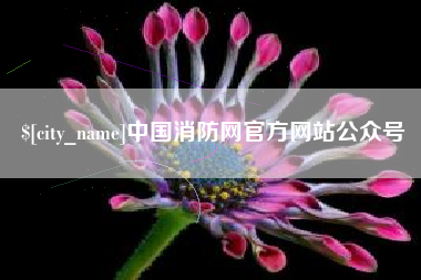 东明中国消防网官方网站公众号