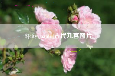 东明古代九宫图片