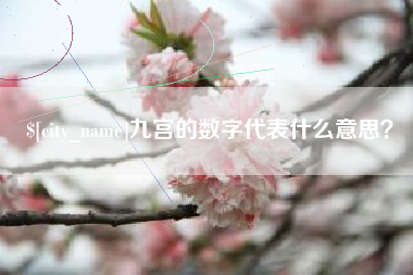 东明九宫的数字代表什么意思？