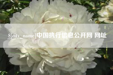 东明中国执行信息公开网 网址