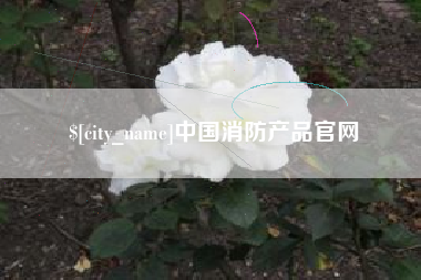 东明中国消防产品官网