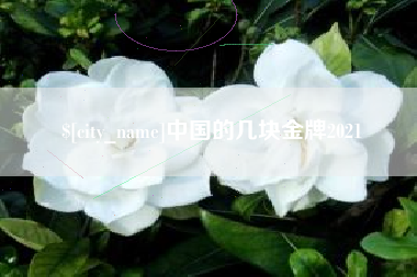东明中国的几块金牌2021