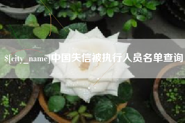 东明中国失信被执行人员名单查询