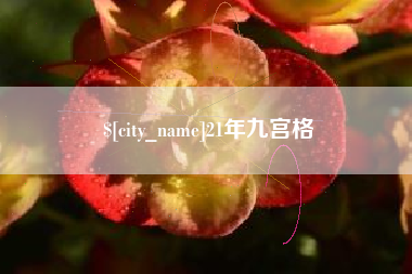 东明21年九宫格