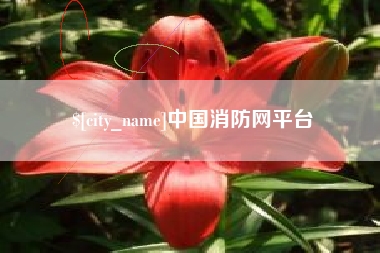 东明中国消防网平台