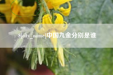东明中国九金分别是谁