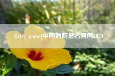 东明中国消防报名官网2020