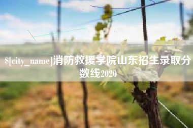 东明消防救援学院山东招生录取分数线2020