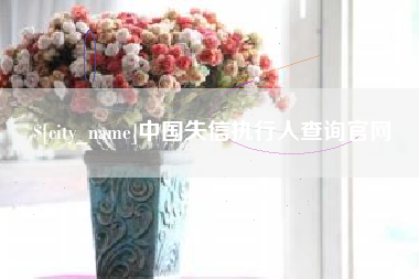 东明中国失信执行人查询官网