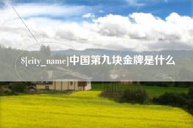 东明中国第九块金牌是什么
