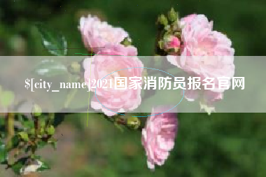 东明2021国家消防员报名官网