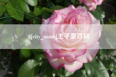 东明王子豪百科