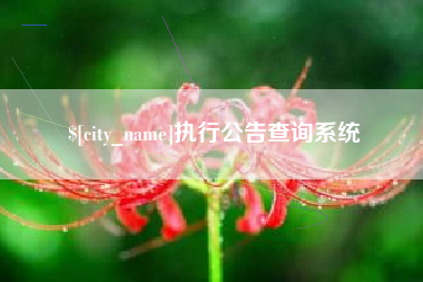 东明执行公告查询系统