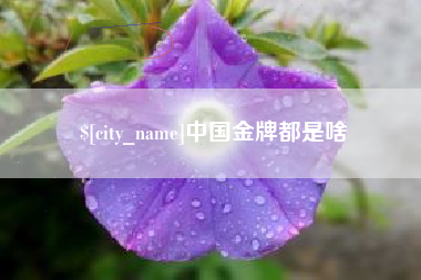 东明中国金牌都是啥