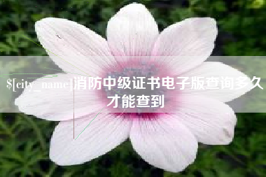 东明消防中级证书电子版查询多久才能查到