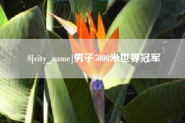 东明男子5000米世界冠军