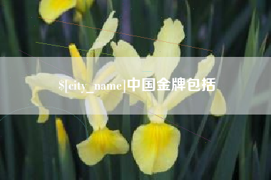 东明中国金牌包括