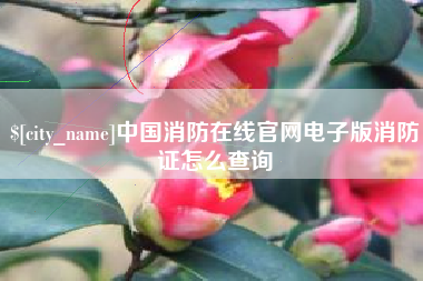 东明中国消防在线官网电子版消防证怎么查询