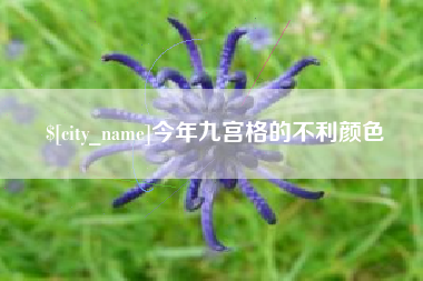 东明今年九宫格的不利颜色