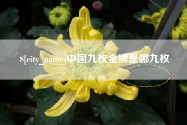 东明中国九枚金牌是哪九枚