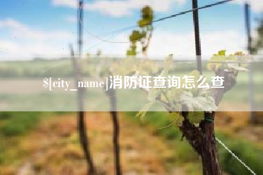 东明消防证查询怎么查