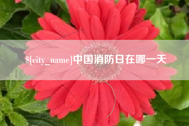 东明中国消防日在哪一天