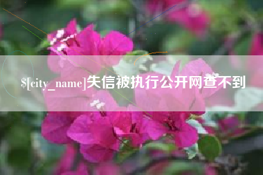 东明失信被执行公开网查不到
