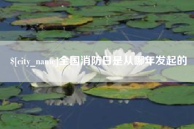 东明全国消防日是从哪年发起的