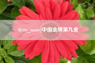 东明中国金牌第九金